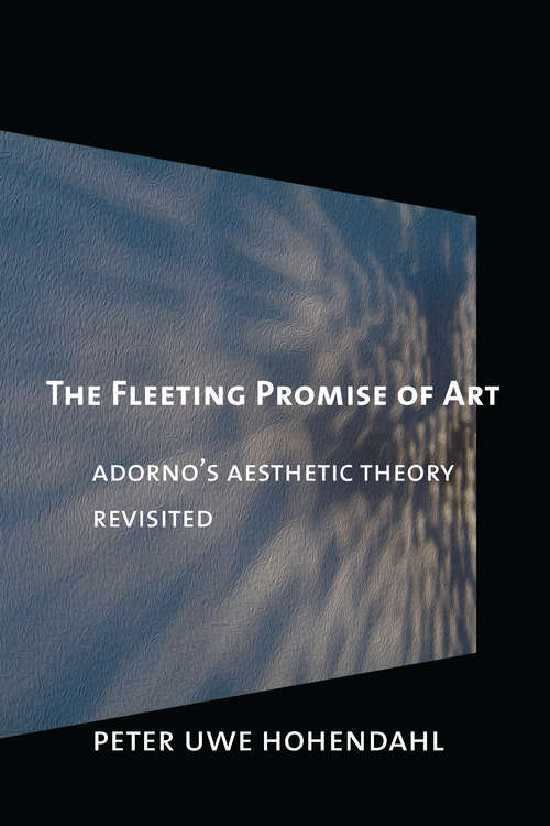 Book cover of The Fleeting Promise of Art