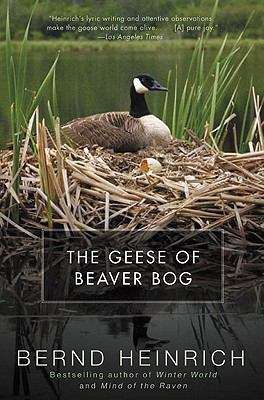 Book cover of The Geese of Beaver Bog