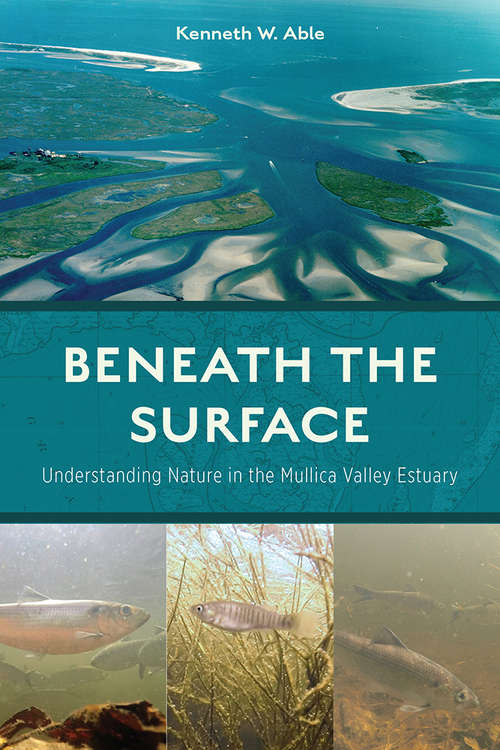 Book cover of Beneath the Surface: Understanding Nature in the Mullica Valley Estuary