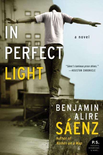 Book cover of In Perfect Light
