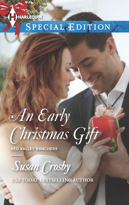 Book cover of An Early Christmas Gift