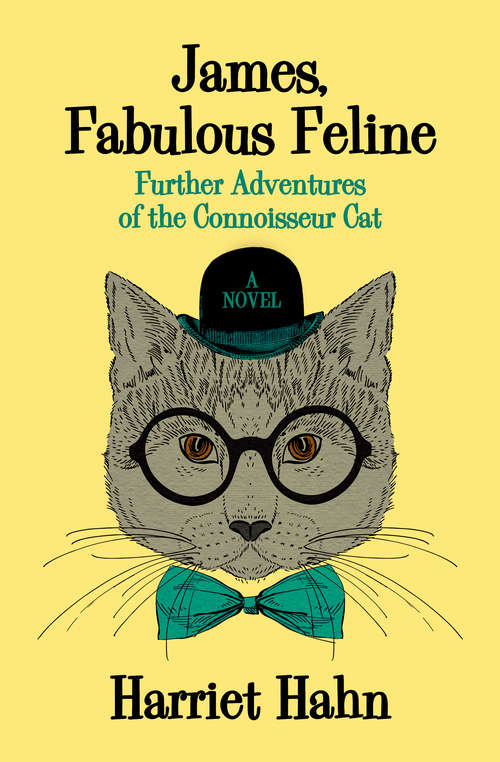 Book cover of James, Fabulous Feline