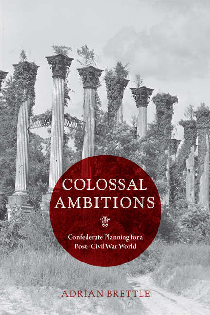 Cover image of Colossal Ambitions