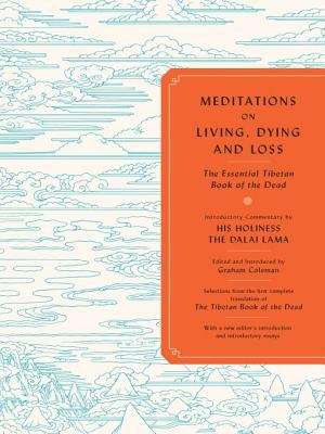 Book cover of Meditations on Living, Dying, and Loss