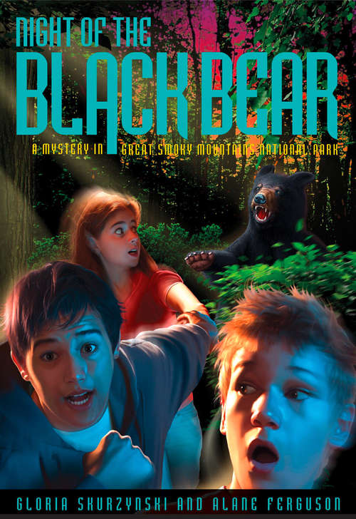 Book cover of Night of the Black Bear