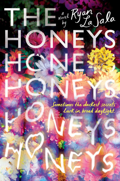 Book cover of The Honeys