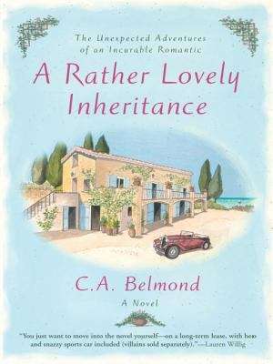 Book cover of A Rather Lovely Inheritance