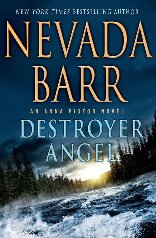 Book cover of Destroyer Angel (Anna Pigeon #18)