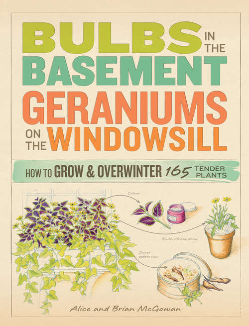 Book cover of Bulbs in the Basement, Geraniums on the Windowsill: How to Grow & Overwinter 165 Tender Plants