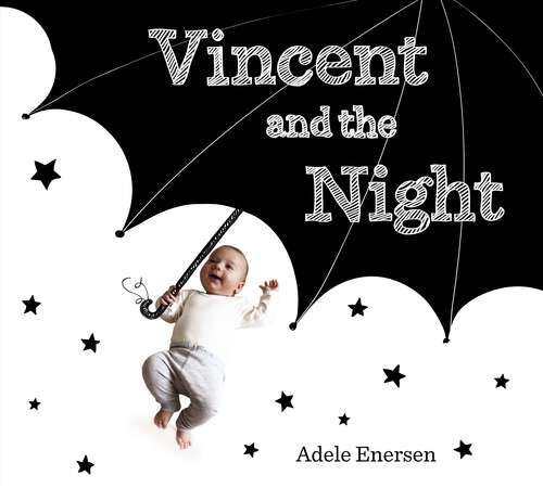 Book cover of Vincent and the Night