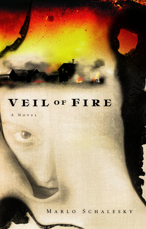 Book cover of Veil of Fire