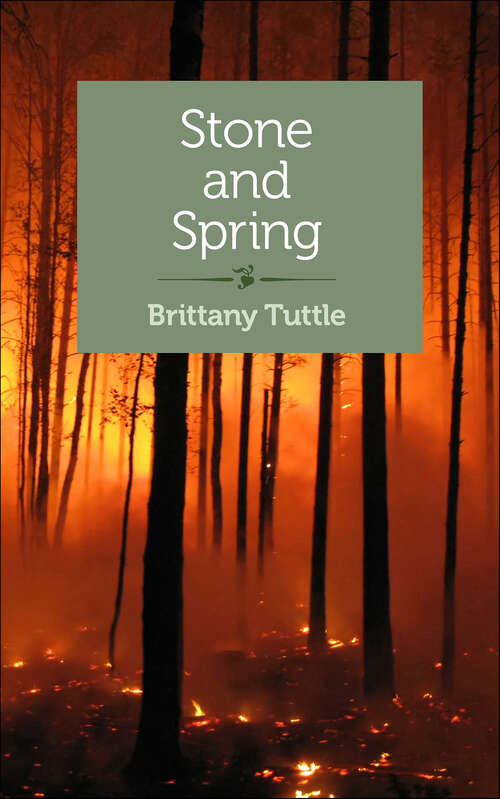 Book cover of Stone and Spring