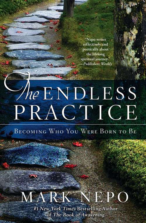 Book cover of The Endless Practice: Becoming Who You Were Born to Be