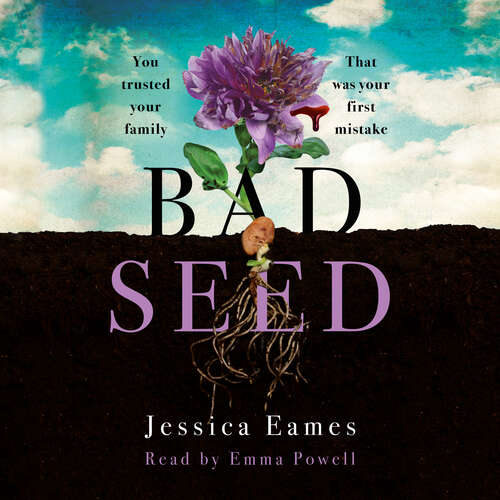 Bad Seed: A chilling, thrilling family drama for fans of Shari Lapena