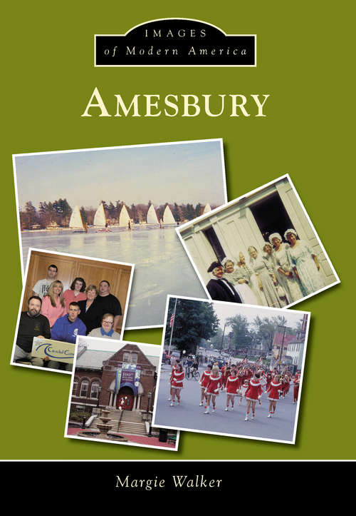 Book cover of Amesbury