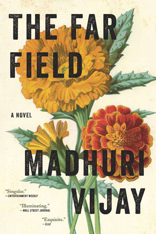 Book cover of THE FAR FIELD
