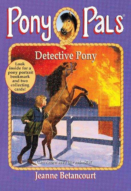 Book cover of Detective Pony (Pony Pals #17)