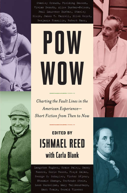 Book cover of Pow Wow: Charting the Fault Lines in the American Experience -- Short Fiction from Then to Now