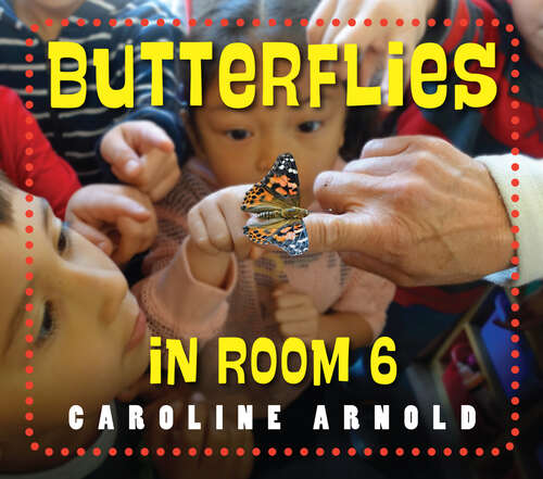 Book cover of Butterflies in Room 6: See How They Grow (Life Cycles in Room 6)