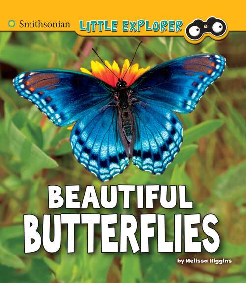 Book cover of Beautiful Butterflies: A 4d Book (Little Entomologist 4d Ser.)