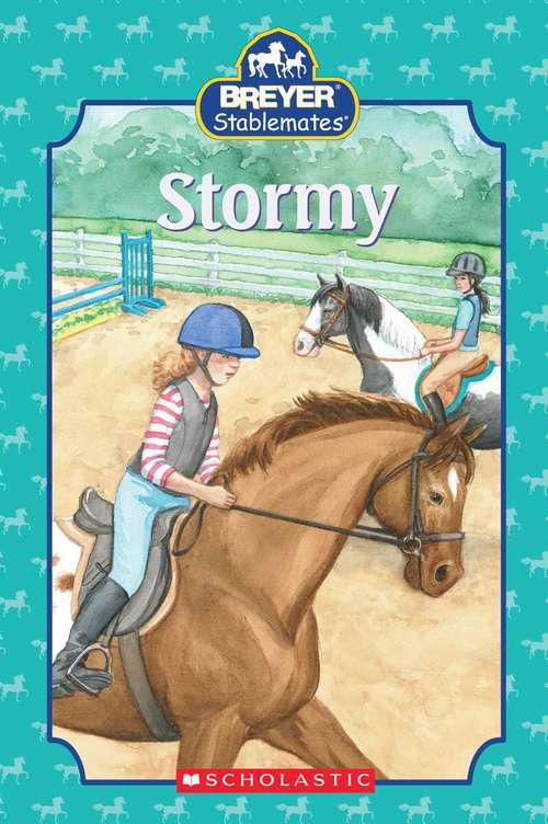 Book cover of Stormy (Breyer Stablemates)