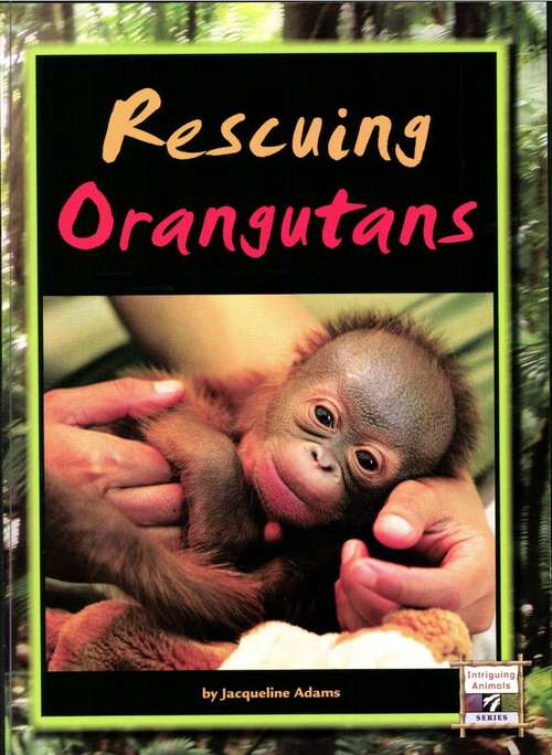 Book cover of Rescuing Orangutans (Fountas & Pinnell LLI Gold: Level R)