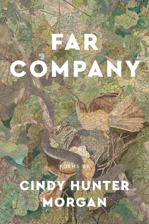 Book cover of Far Company: Poems By Cindy Hunter Morgan (Made in Michigan Writers Series)