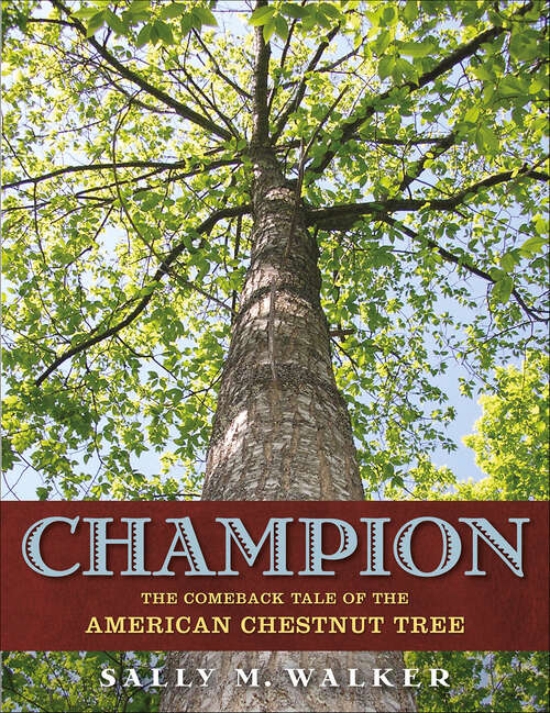 Book cover of Champion: The Comeback Tale of the American Chestnut Tree