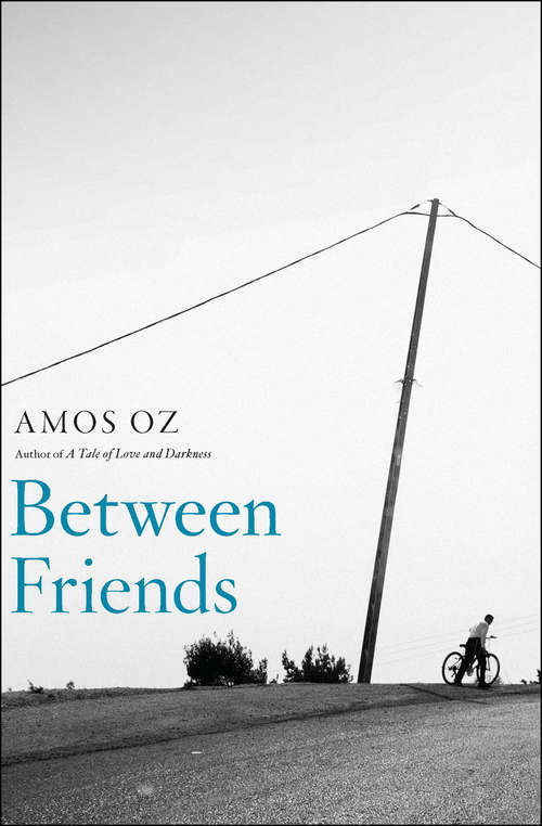 Between Friends: The Correspondence Of Hannah Arendt And Mary Mccarthy, 1949-1975