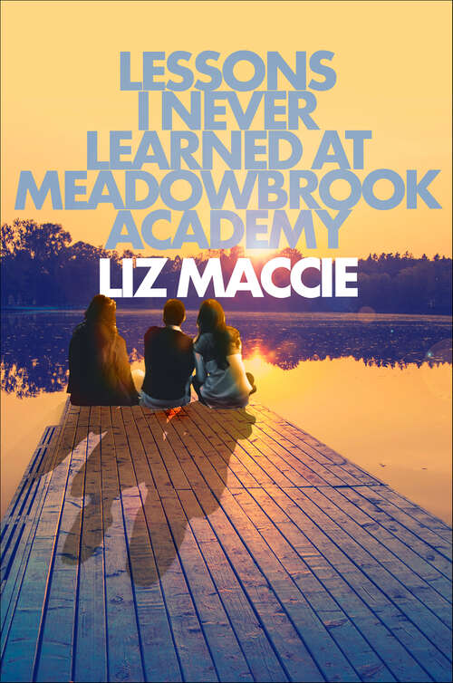 Book cover of Lessons I Never Learned at Meadowbrook Academy