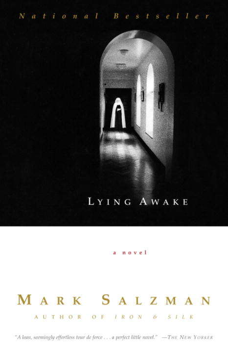 Book cover of Lying Awake