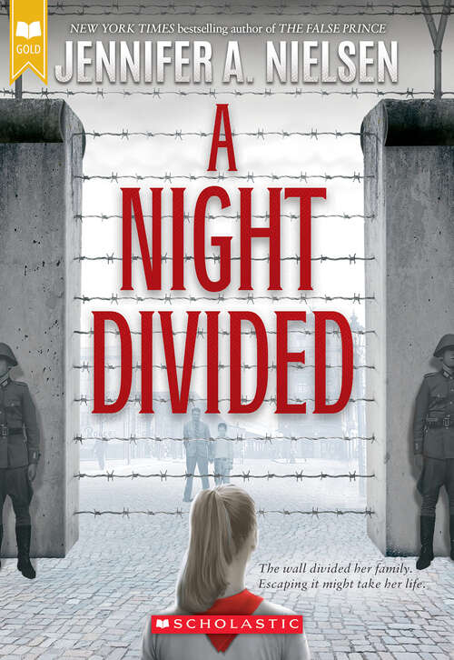 Book cover of A Night Divided