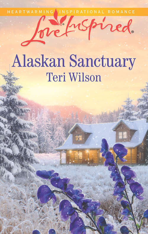 Book cover of Alaskan Sanctuary: Amish Homecoming Her Small-town Cowboy Alaskan Sanctuary