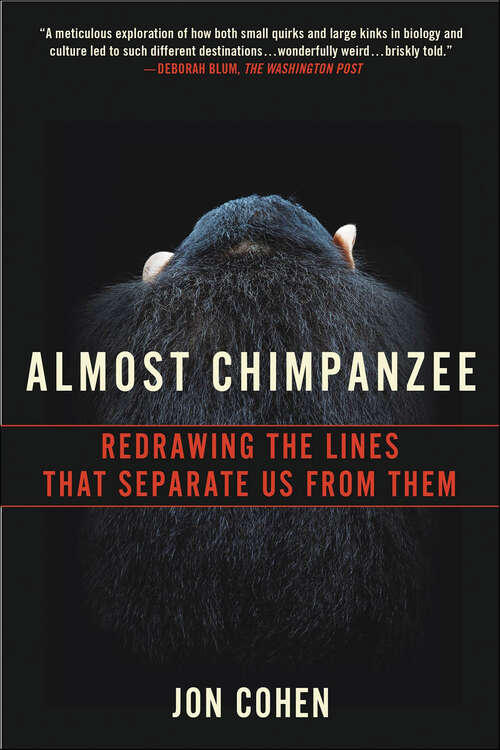 Book cover of Almost Chimpanzee: Redrawing the Lines That Separate Us from Them