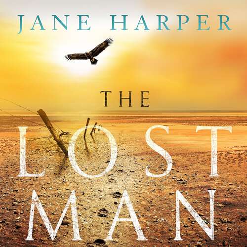 Book cover of The Lost Man: 'her most accomplished yet: a moving story of loneliness, grief and redemption' The Times