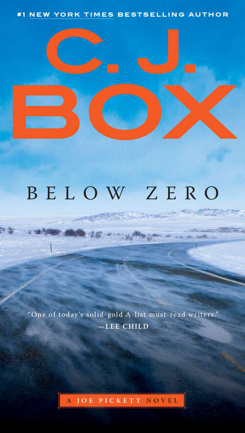 Book cover of Below Zero