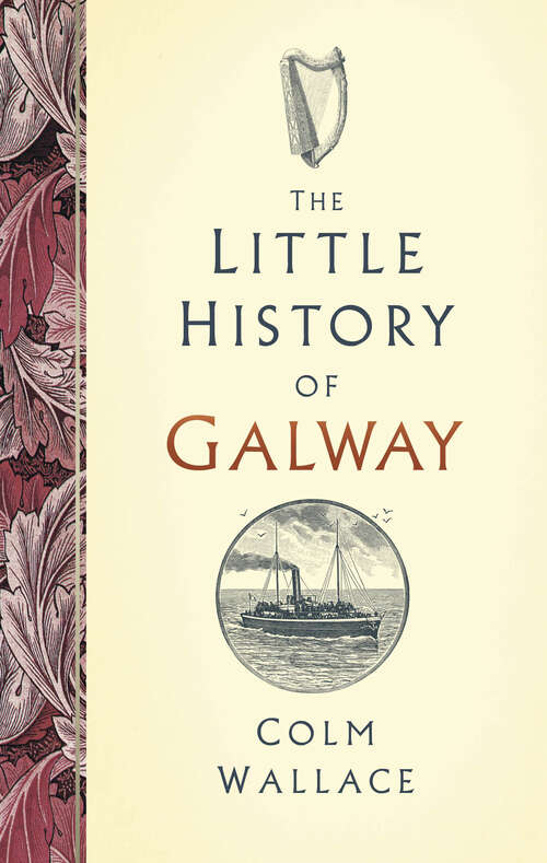 Book cover of The Little History of Galway
