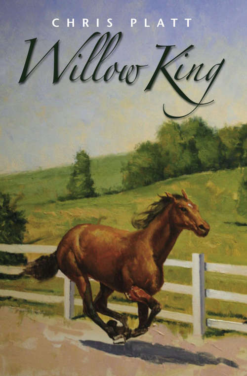 Book cover of Willow King