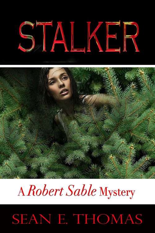 Stalker: A Robert Sable Mystery