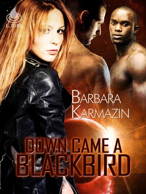 Book cover of Down Came a Blackbird