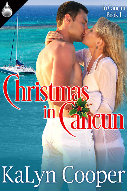 Book cover of Christmas In Cancun