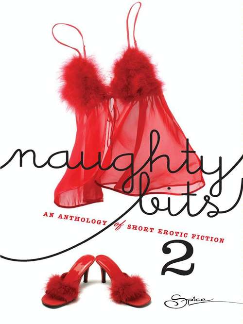 Book cover of Naughty Bits 2