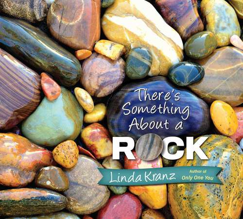 Book cover of There's Something about a Rock