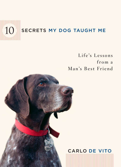 Book cover of 10 Secrets My Dog Taught Me: Life Lessons from a Man's Best Friend