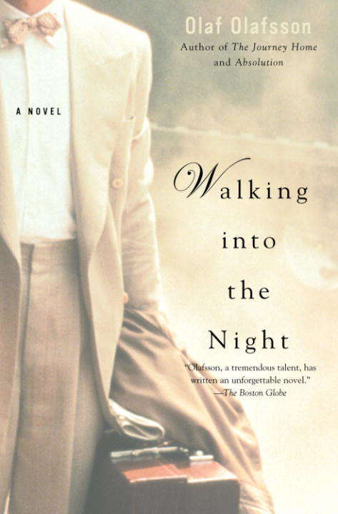 Book cover of Walking Into the Night