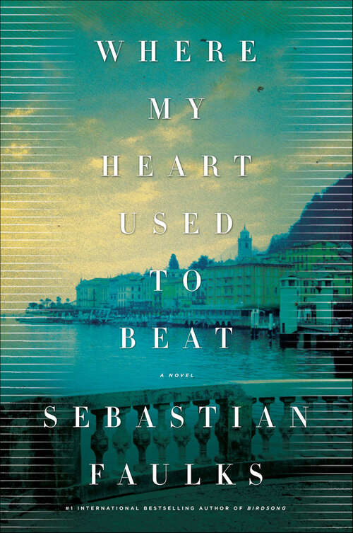 Book cover of Where My Heart Used to Beat: A Novel