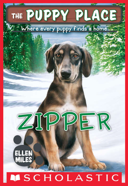 Book cover of The Puppy Place #34: Zipper