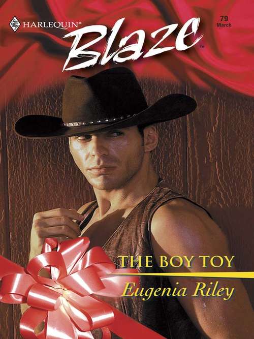 Book cover of The Boy Toy