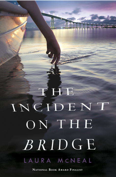 Book cover of The Incident on the Bridge