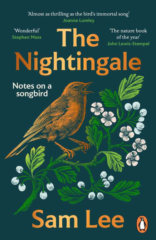 Book cover of The Nightingale: ‘The nature book of the year’